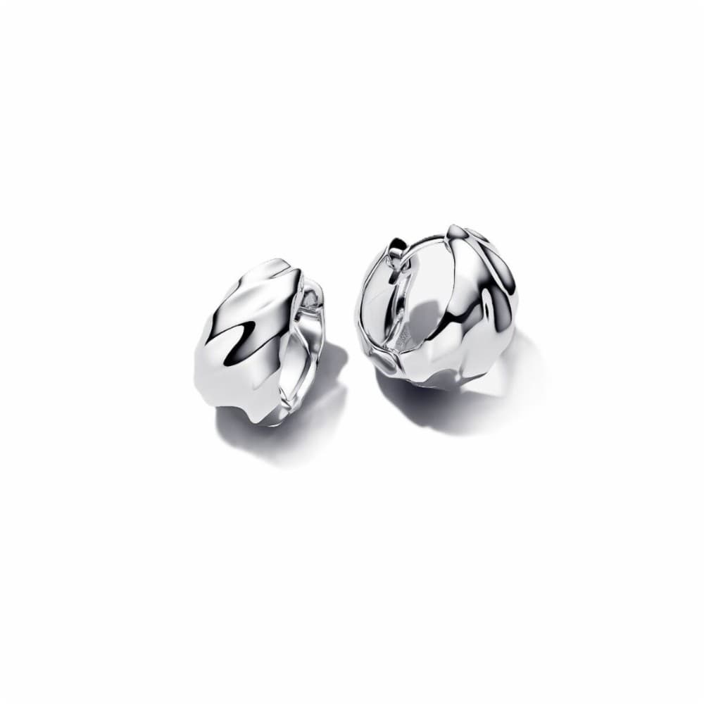 Ladies' Earrings Pandora 293874C00 Silver