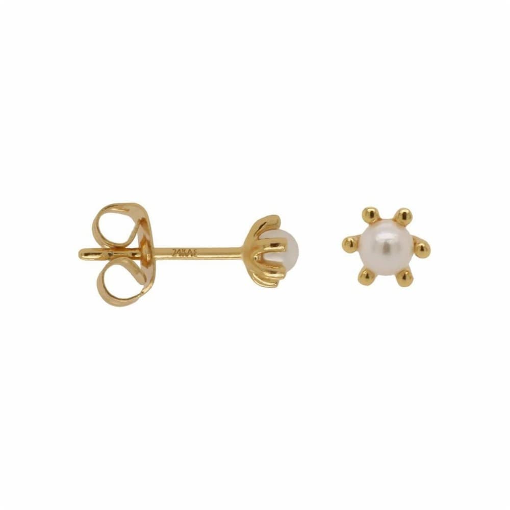 Ladies' Earrings 24KAE 42420Y Golden