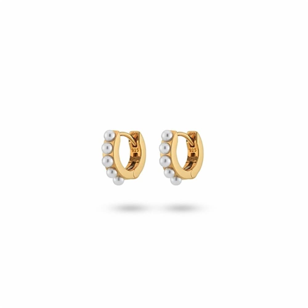 Ladies' Earrings 24KAE 42419Y Golden