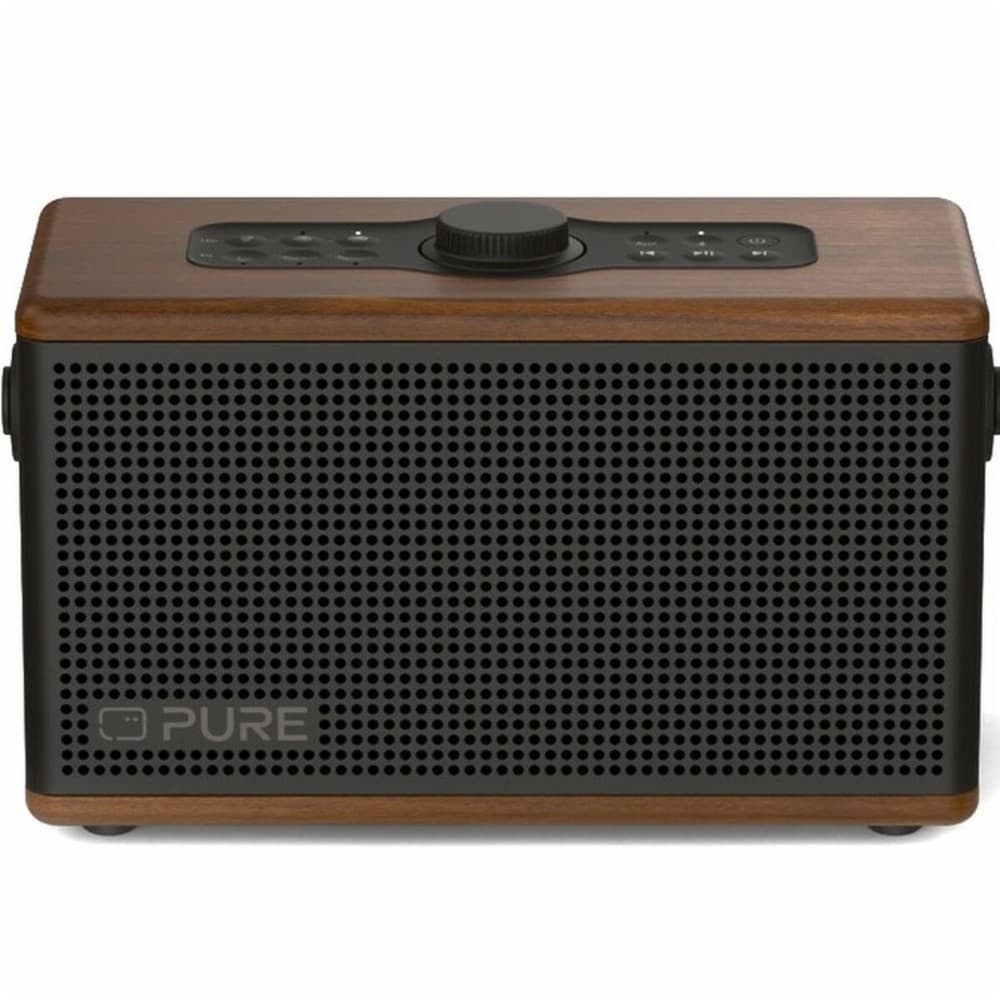 Portable Bluetooth Speakers Pure 254374