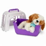 738120