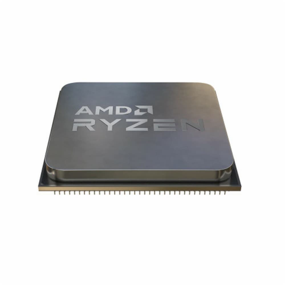 Processor AMD 100-000000718