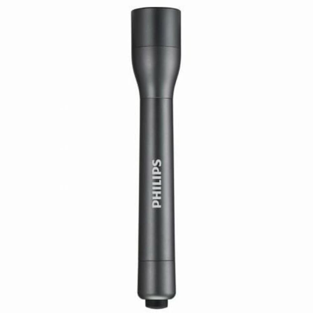 Torch Philips SFL4002T/10 110 LM