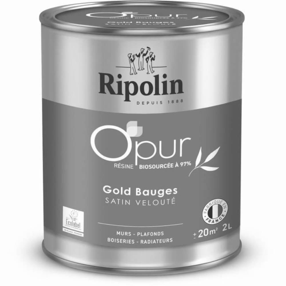 Primer Paint Ripolin
