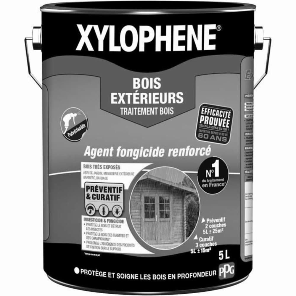 Primer Paint Xylophene White 5 L