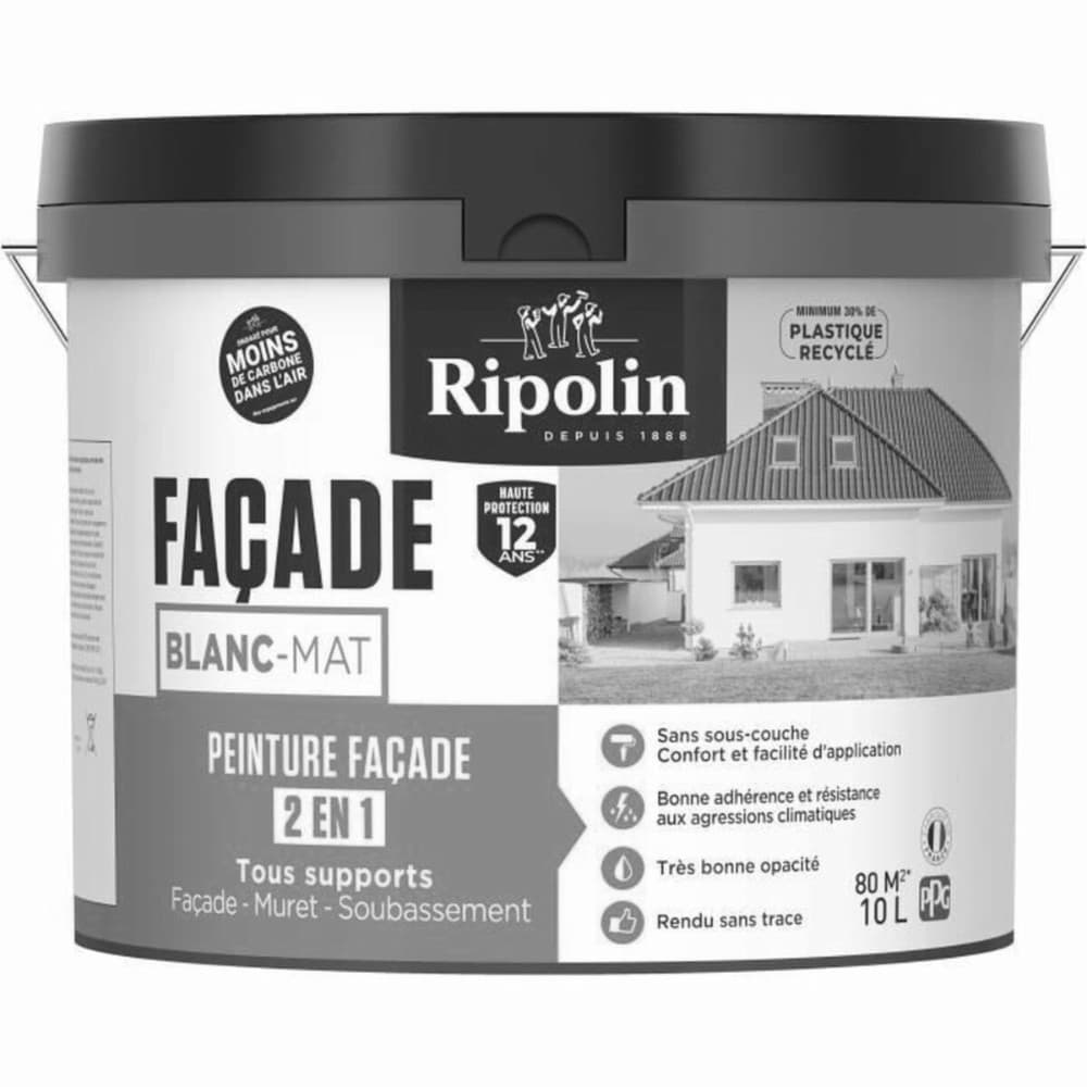 Paint Ripolin 474646 10 L