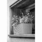 970726