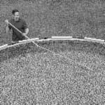 973459