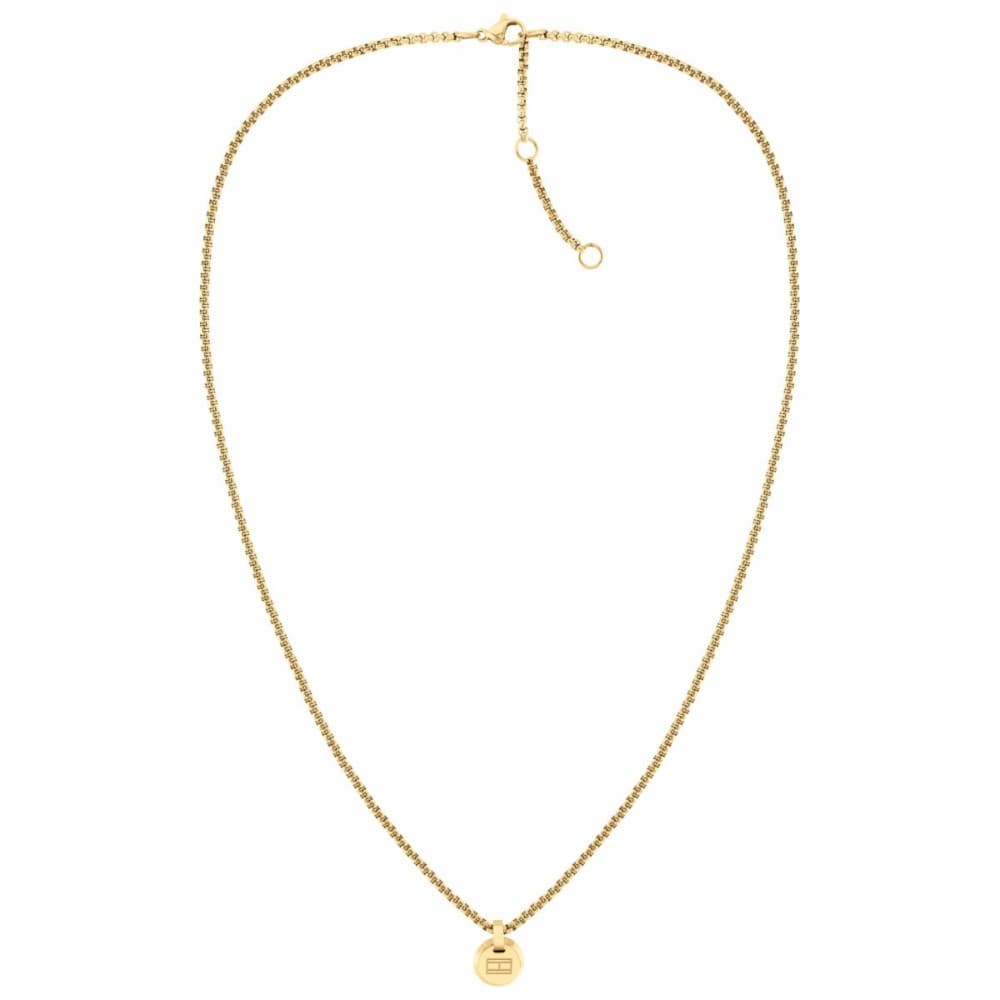 Ladies' Necklace Tommy Hilfiger 2780850 45 cm
