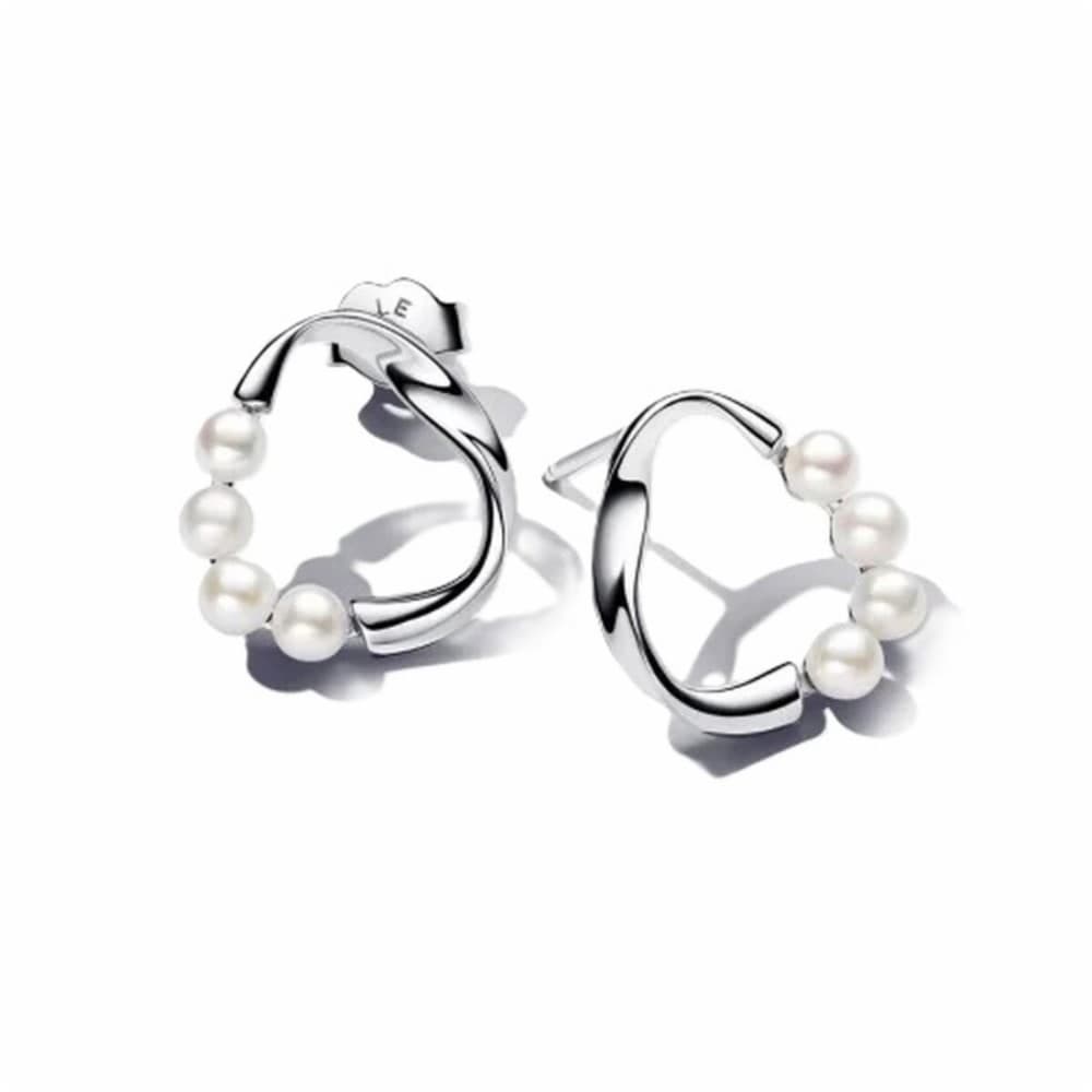 Ladies' Earrings Pandora 293276C01 Silver