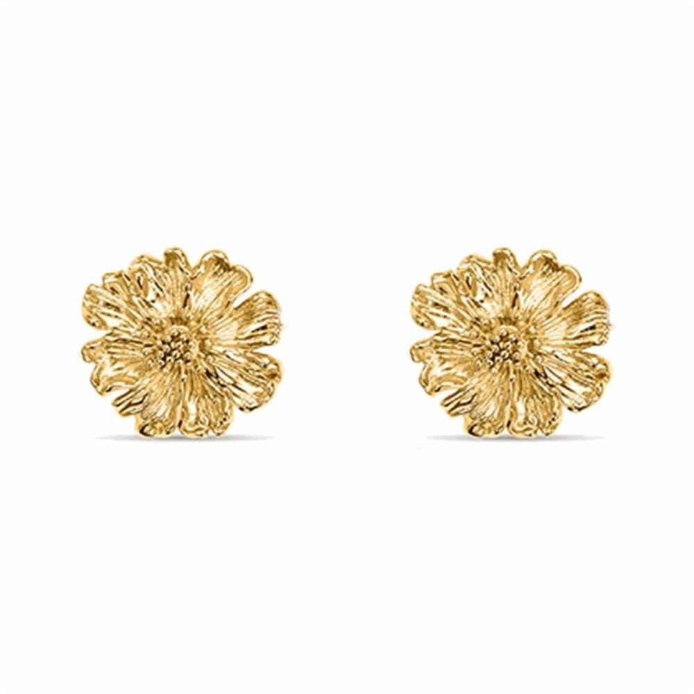 Ladies' Earrings Stroili 1697585 Golden