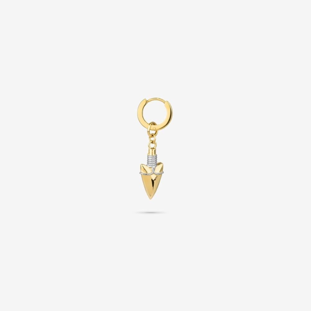 Ladies' Earrings Radiant RH000207 Golden 1 Unit