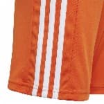 1167850