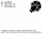 1184691