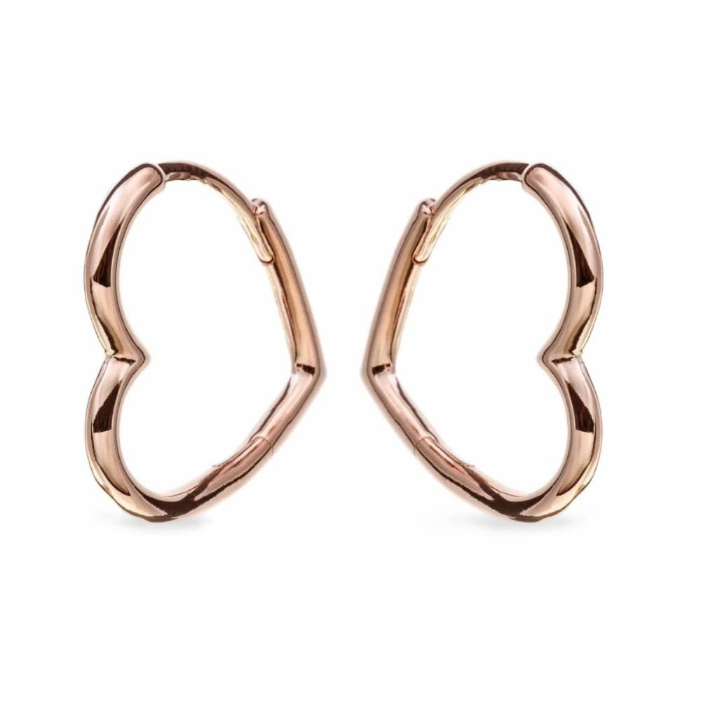 Ladies' Earrings Pandora 288307