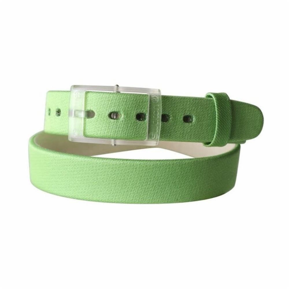 Watch Strap Swatch ALK264 Green