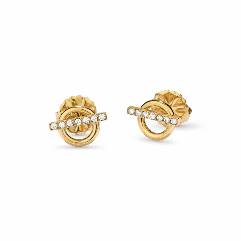 Ladies' Earrings Radiant RY000430 Golden