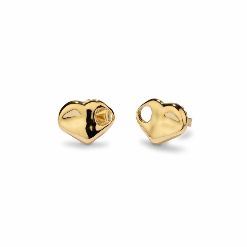 Ladies' Earrings Radiant RY000443 Golden