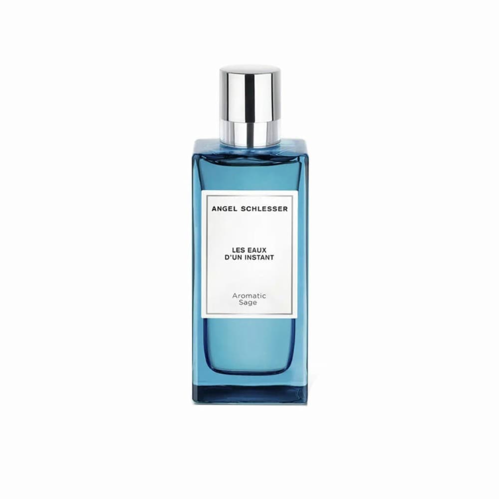 Men's Perfume Angel Schlesser Les Eaux D'Un Instant Aromatic Sage EDT 100 ml